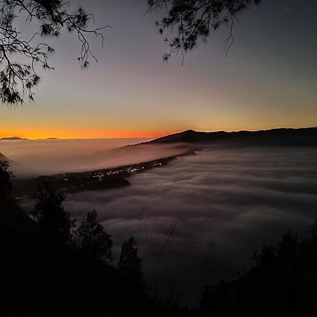 Uciek Tengger Bromo Ngadisari المظهر الخارجي الصورة